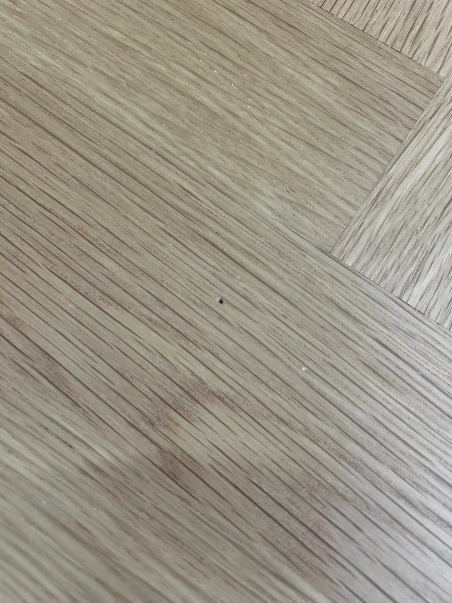 Miniaturebillede 4