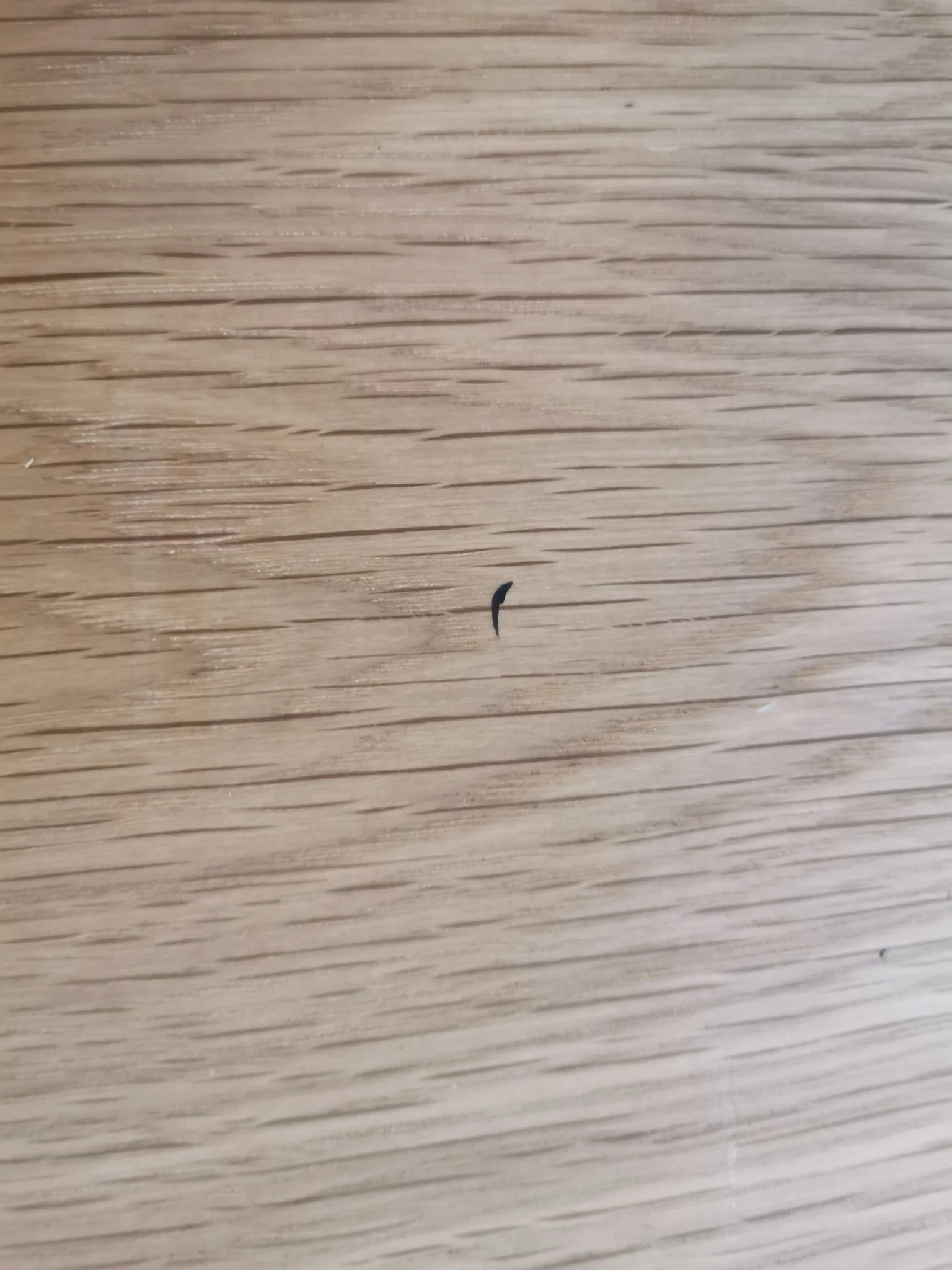 Miniaturebillede 14